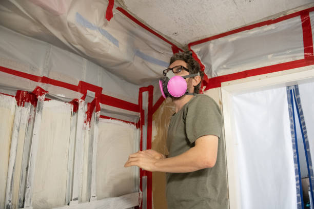 Best Industrial Mold Remediation  in Del Norte, CO