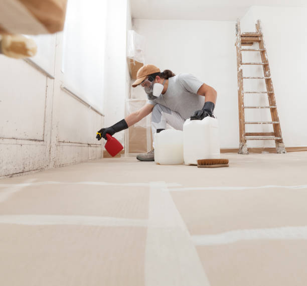 Best Emergency Mold Remediation  in Del Norte, CO